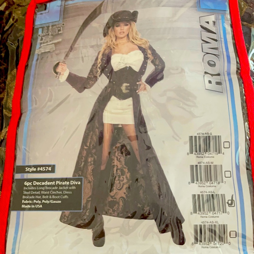 Pirate Diva Costume